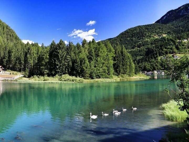 Appartamento Italia Alleghe Luaran gambar